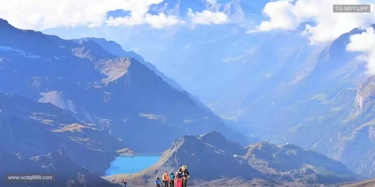 📱 弹幕互动，让观赛更有温度！