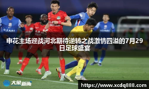 申花主场迎战河北期待逆转之战激情四溢的7月29日足球盛宴